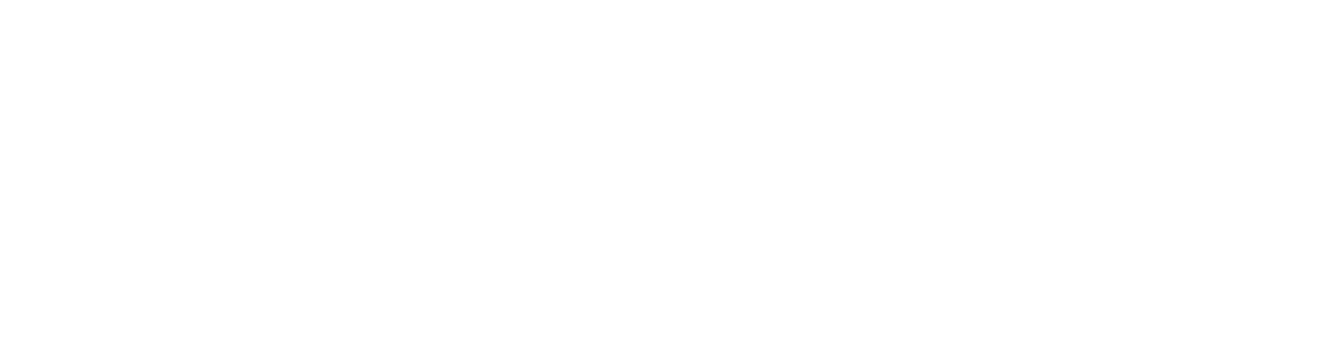 OAK ISLAND CAPITAL PARTNERS logo